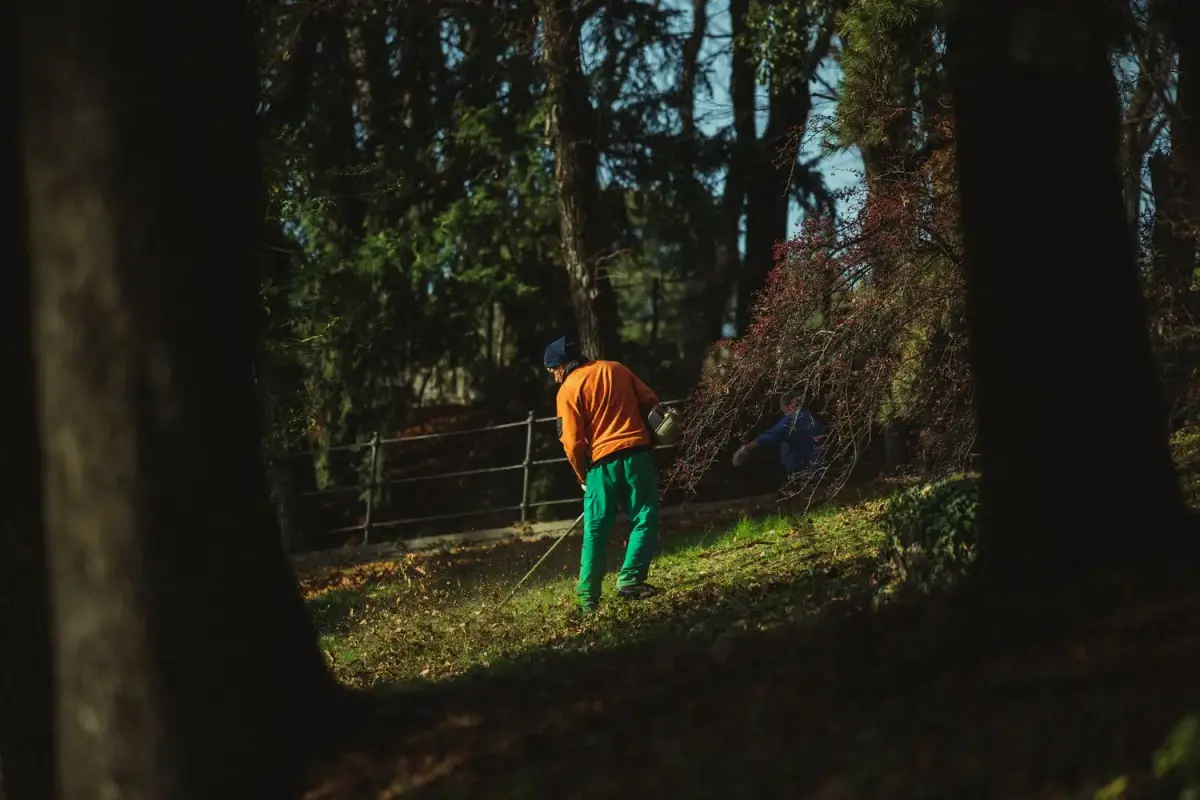 A landscaper mowing a lawn while wearing a company work shirt outdoors